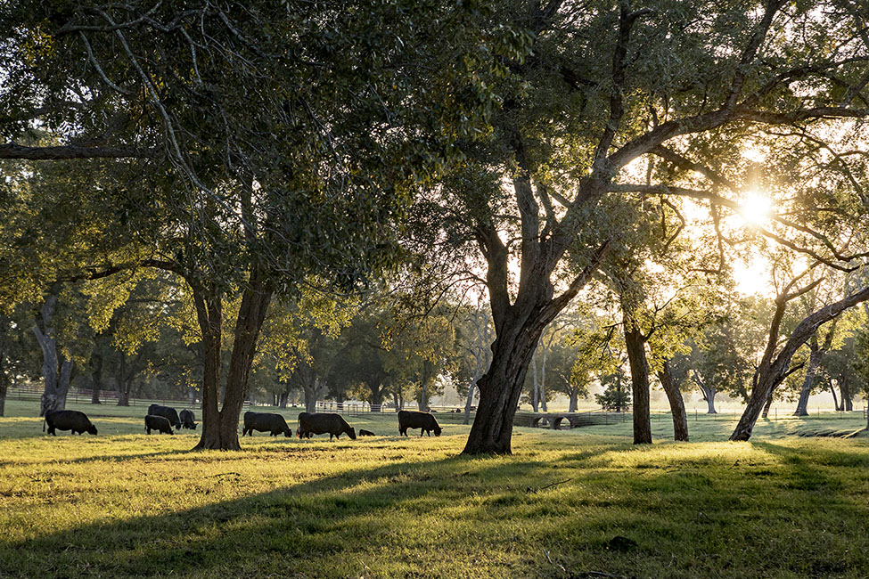 44 farms 201023_2857