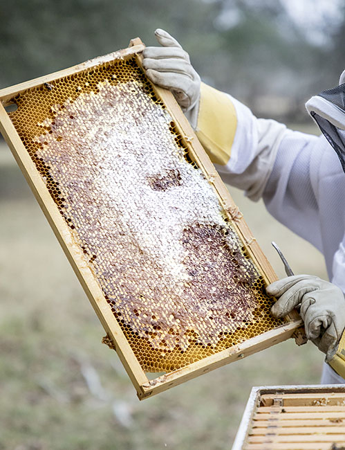 Rohan Meadery 201210_4858