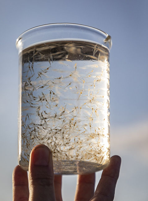 Homegrown Seafood 220426_7895