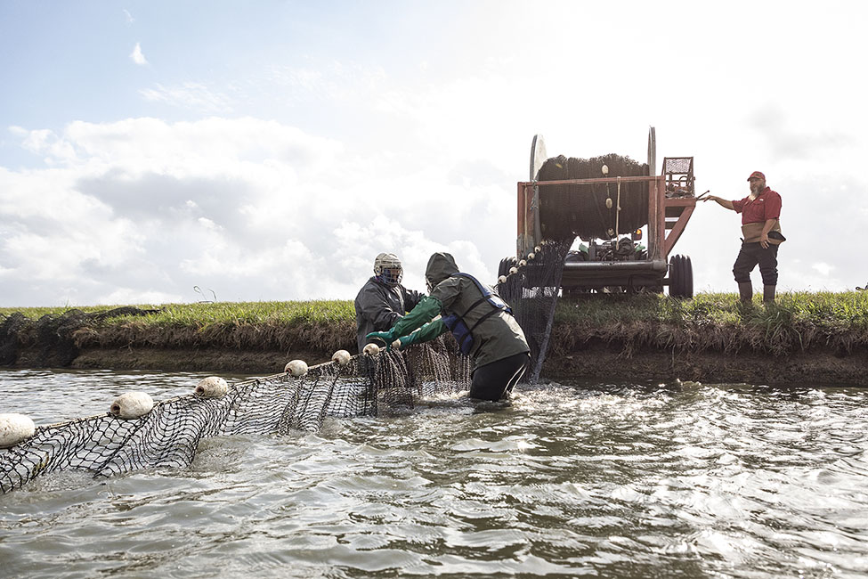 Homegrown Seafood 220424_6135