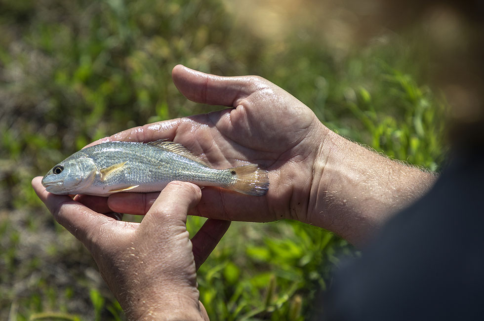 Homegrown Seafood 220426_8503