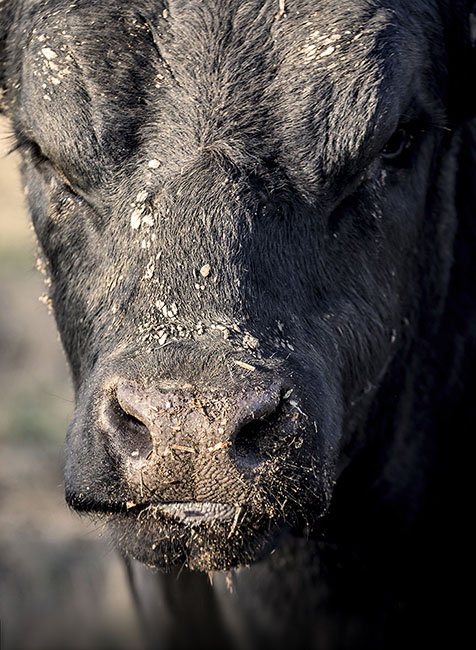 44 farms 200221_7816