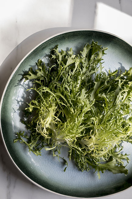 frisee lettuce 181004_2278