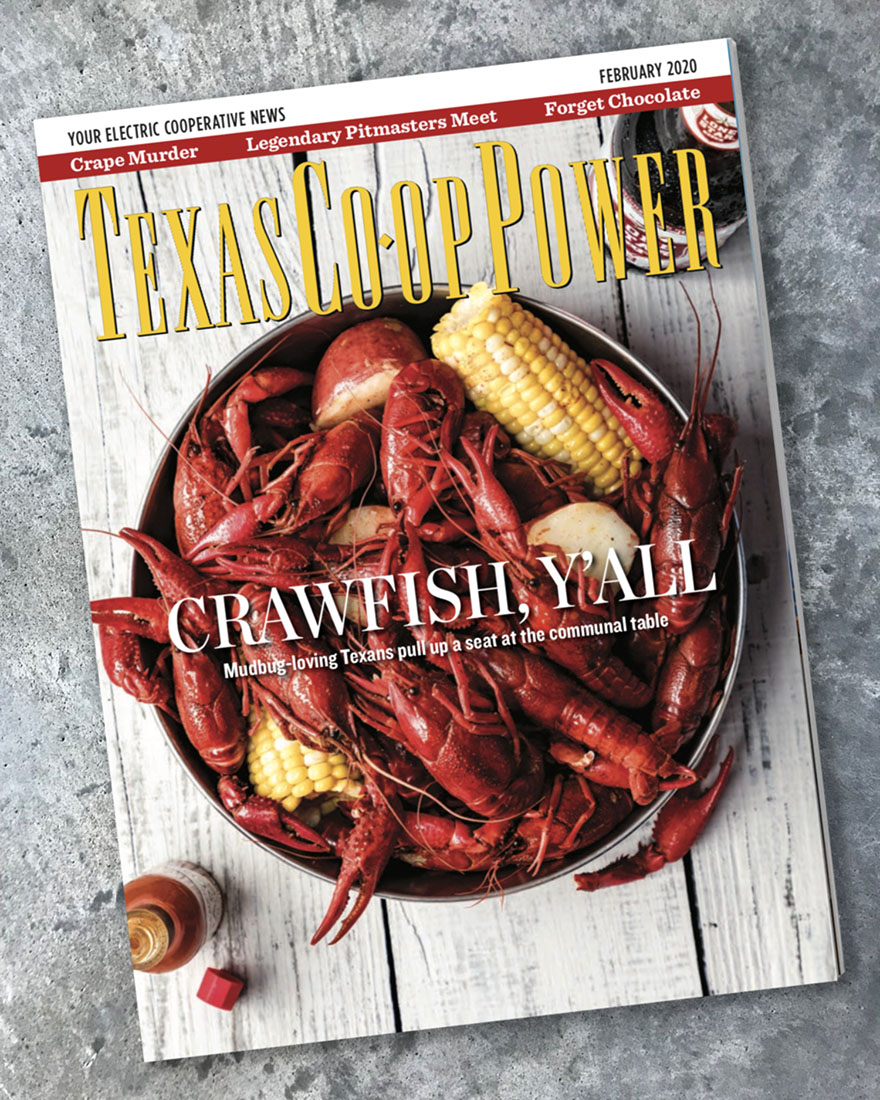 tcp cover 9081
