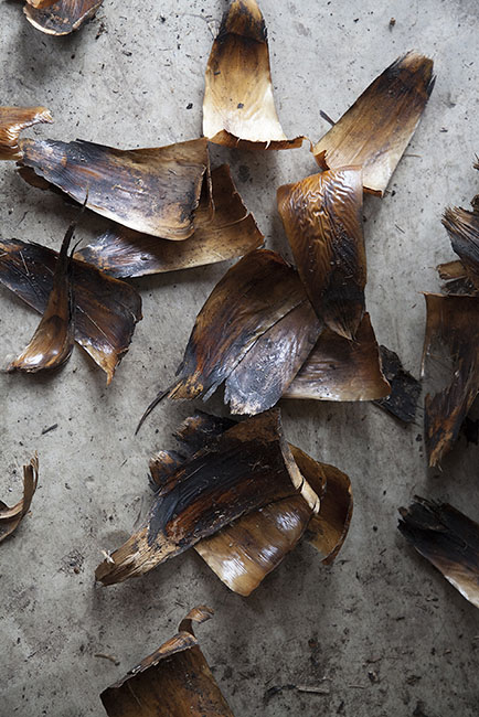 Desert Door Sotol 180420_7076