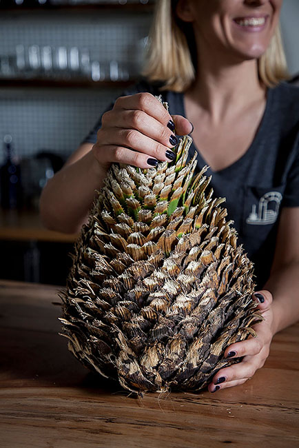 Desert Door Sotol 180419_6950