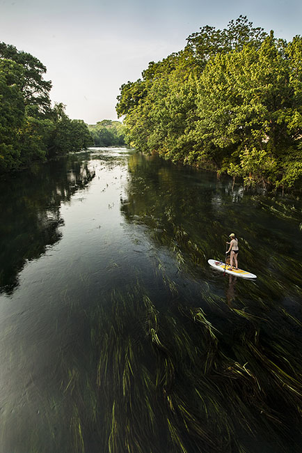 san marcos river 170428_0078