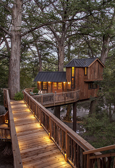 Nelson Treehouse Utopia 180923_6923