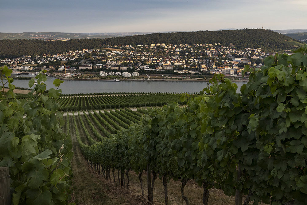 Rudesheim Germany 190721_1982