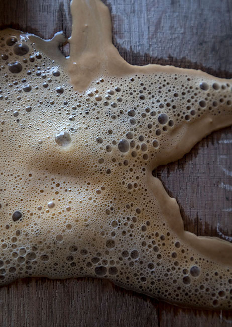 robert clay yeast 200720_6984