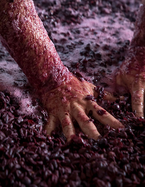 Robert Clay temperanillo 200720_7135